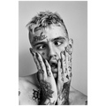 Gus by Ian Bird #2