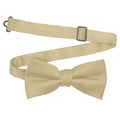 Men's Champagne Solid Satin Pre-Tied Bow Tie - Upscale Men's Fashion