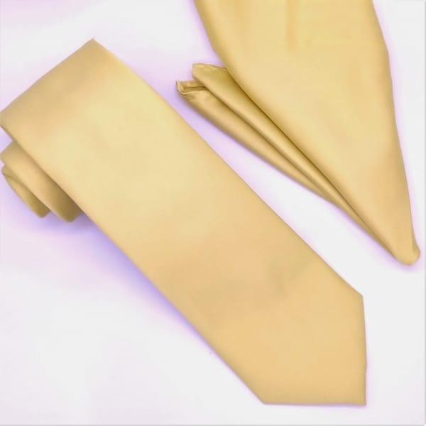 Solid Champagne Tie and Hanky Set - Upscale Men's Fashion